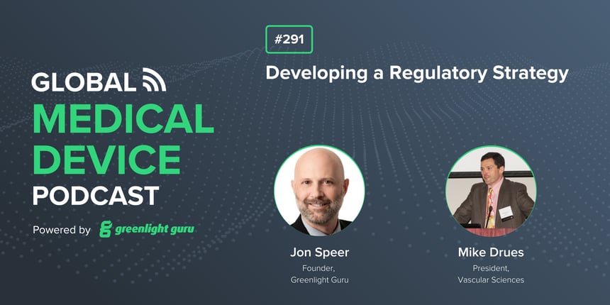 #291 Developing a Regulatory Strategy