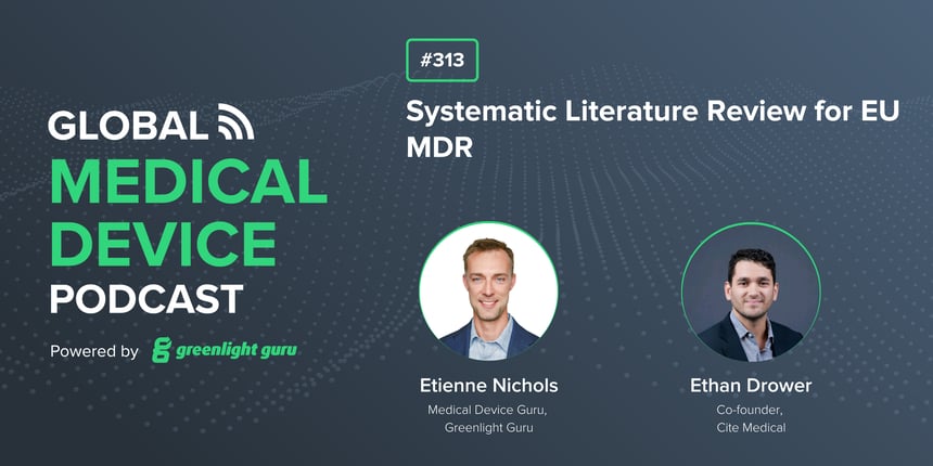#313 Systematic Literature Review for EU MDR