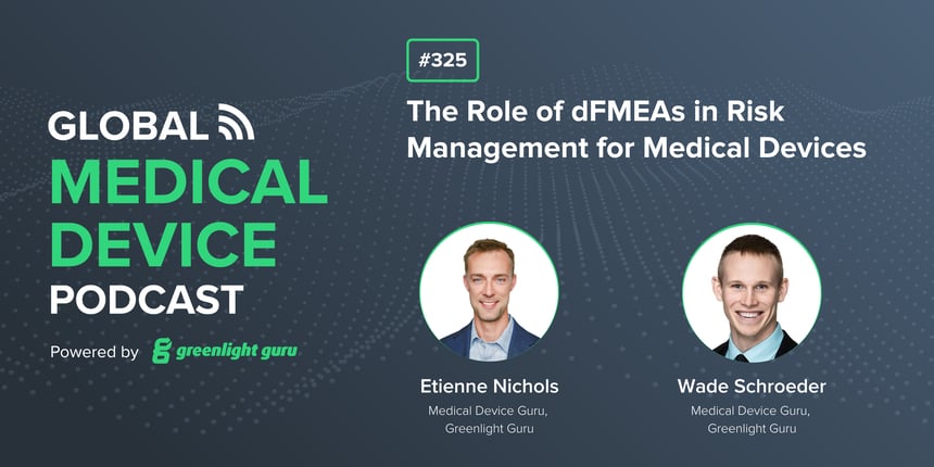 #325 The Role of dFMEAs in Risk Management for Medical Devices