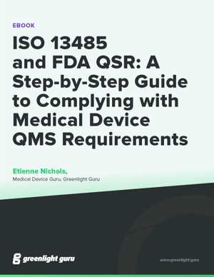 (cover) ISO 13485 and FDA QSR- A Step-by-Step Guide to Complying with Medical Device QMS Requirements