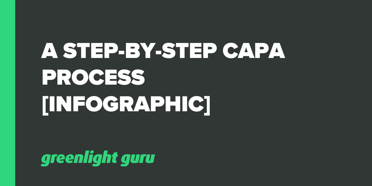 CAPA Process StepbyStep Instructions [Infographic]