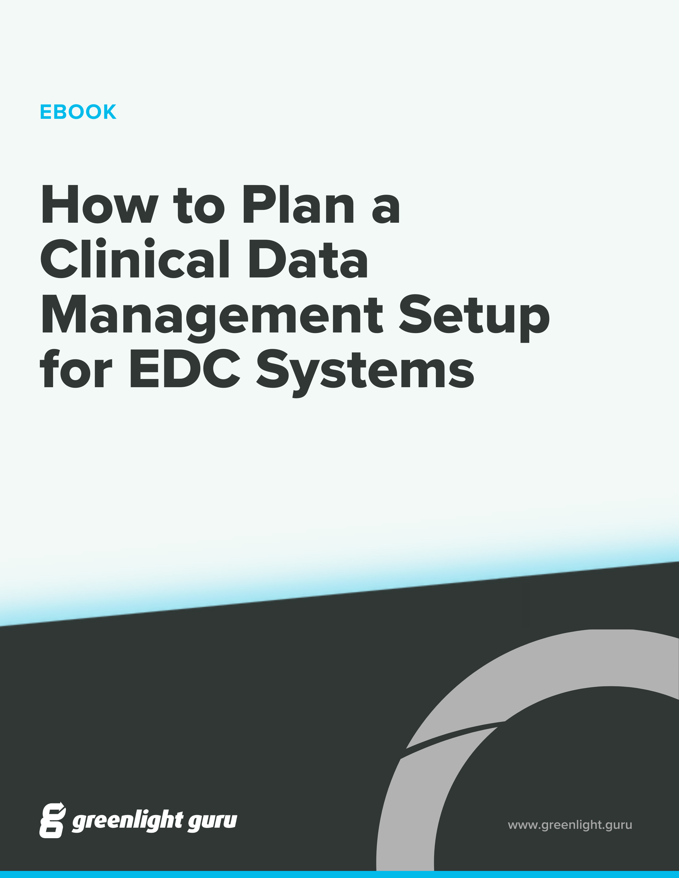 How to Plan a Clinical Data Management Setup for EDC Systems (new)
