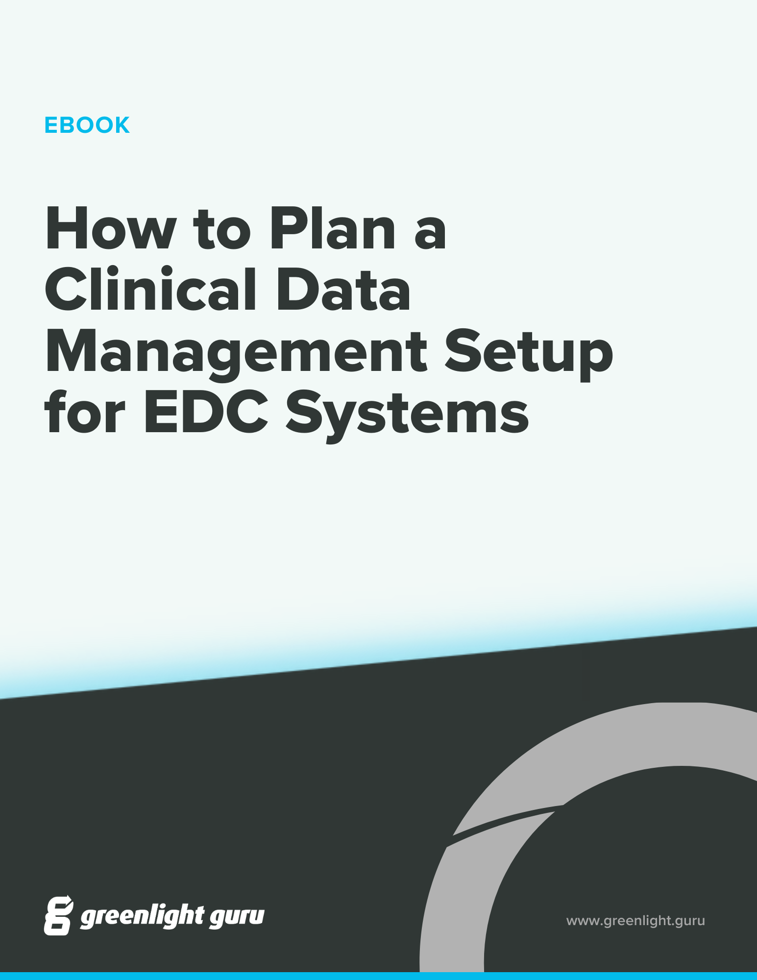 How to Plan a Clinical Data Management Setup for EDC Systems - slide in cta (cover)