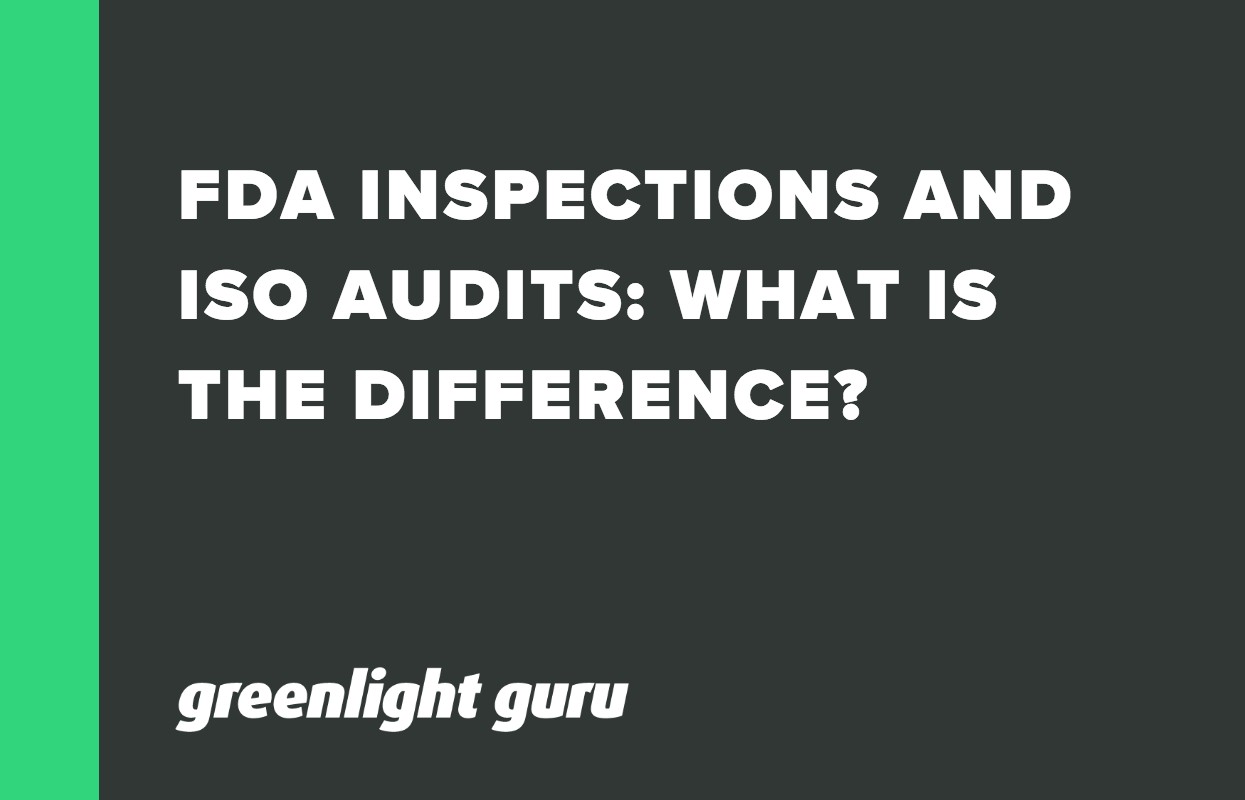 FDA INSPECTIONS AND ISO AUDITS_ WHAT IS THE DIFFERENCE_-1