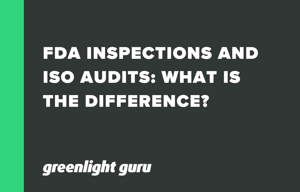 FDA INSPECTIONS AND ISO AUDITS_ WHAT IS THE DIFFERENCE_