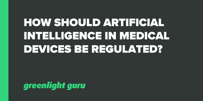 How Should Artificial Intelligence in Medical Devices be Regulated_