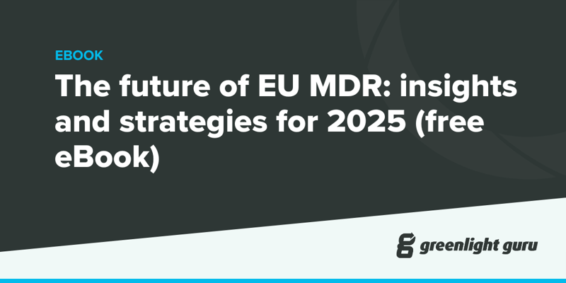 The future of EU MDR insights and strategies for 2025 (free eBook)