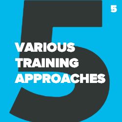 training-management-various-approaches