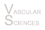 Vascular_Sciences_logo_transparent