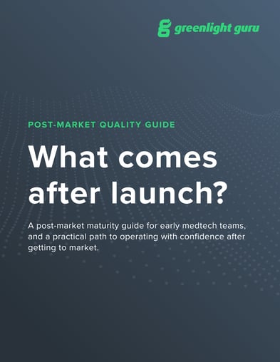 What comes after launch ebook cover