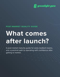 What comes after launch ebook cover