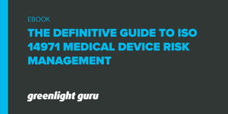 Iso Risk Management Guide