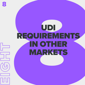 udi-requirements-other-markets-8