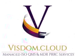 visdom logo