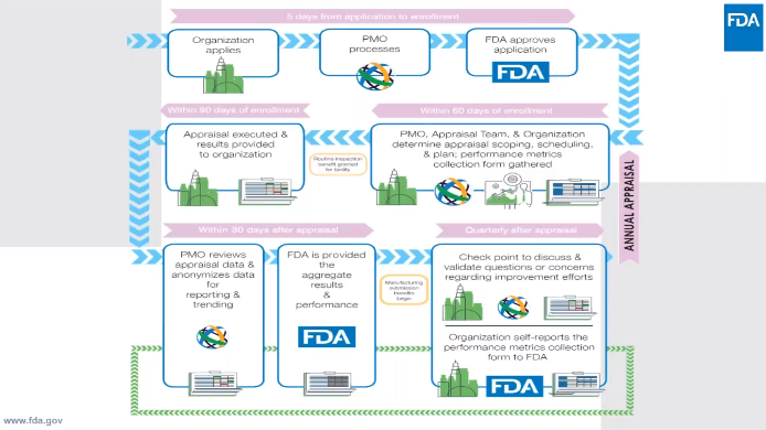 Pilot-Program-Process
